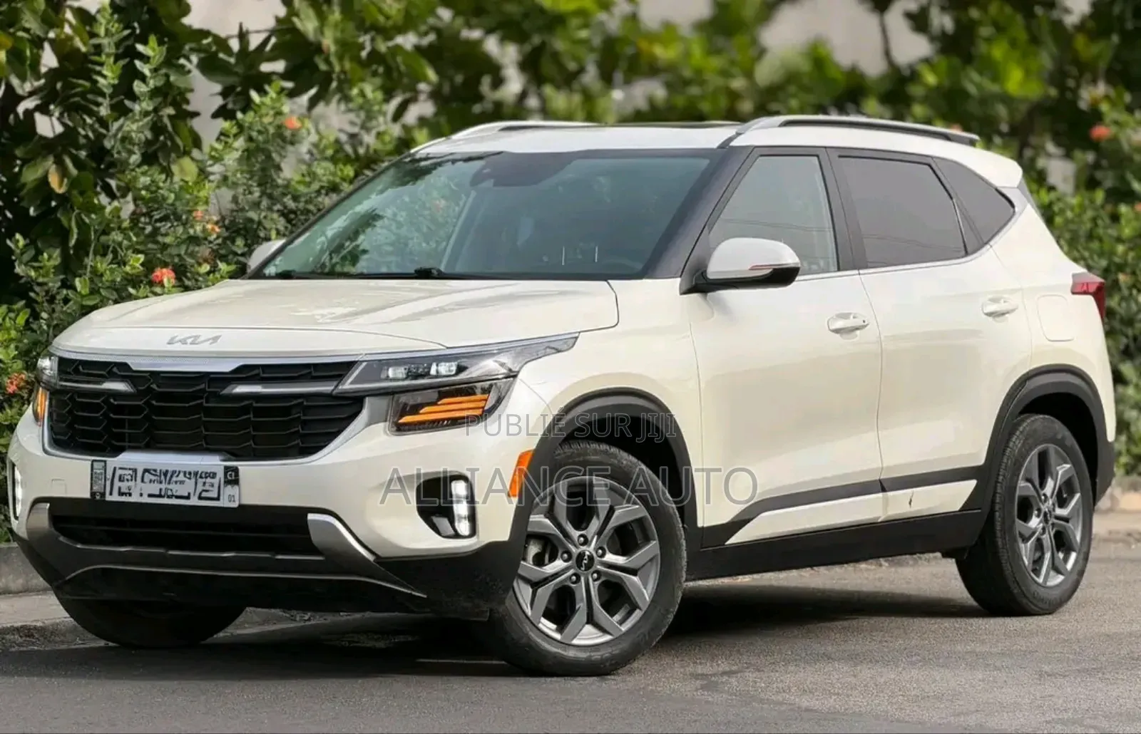 Kia Seltos 2025 Blanc