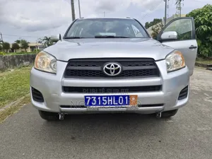 Toyota RAV4 2010 Gris