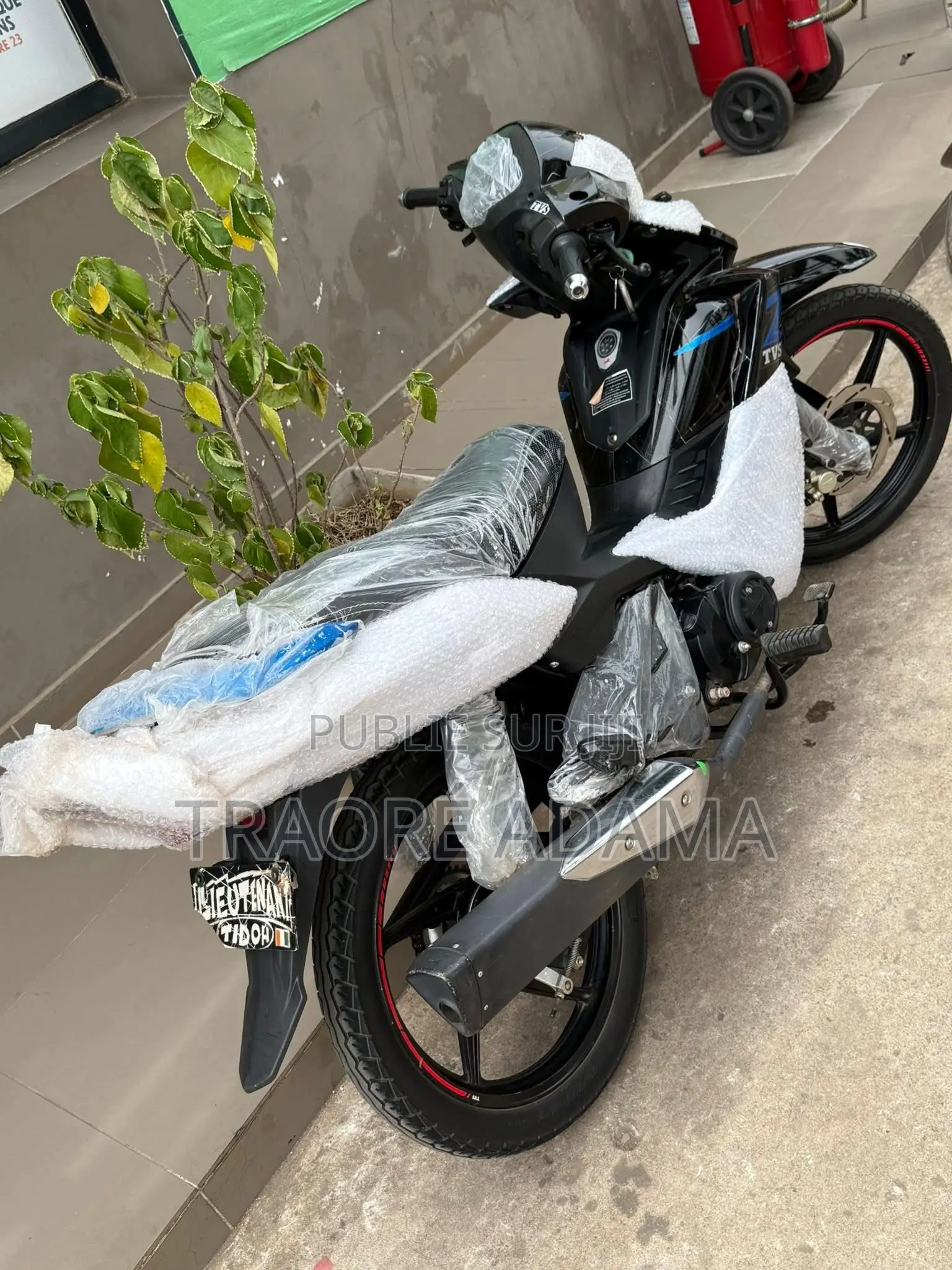 Nouveau TVS Rockz 125 2020 Autre