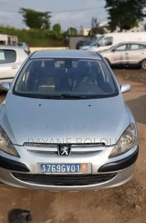 Peugeot 307 1.4 2005 Gris
