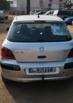 Peugeot 307 1.4 2005 Gris