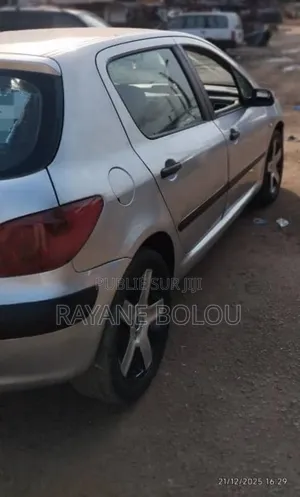 Peugeot 307 1.4 2005 Gris