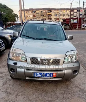 Nissan X-Trail 2.0 2007 Gris