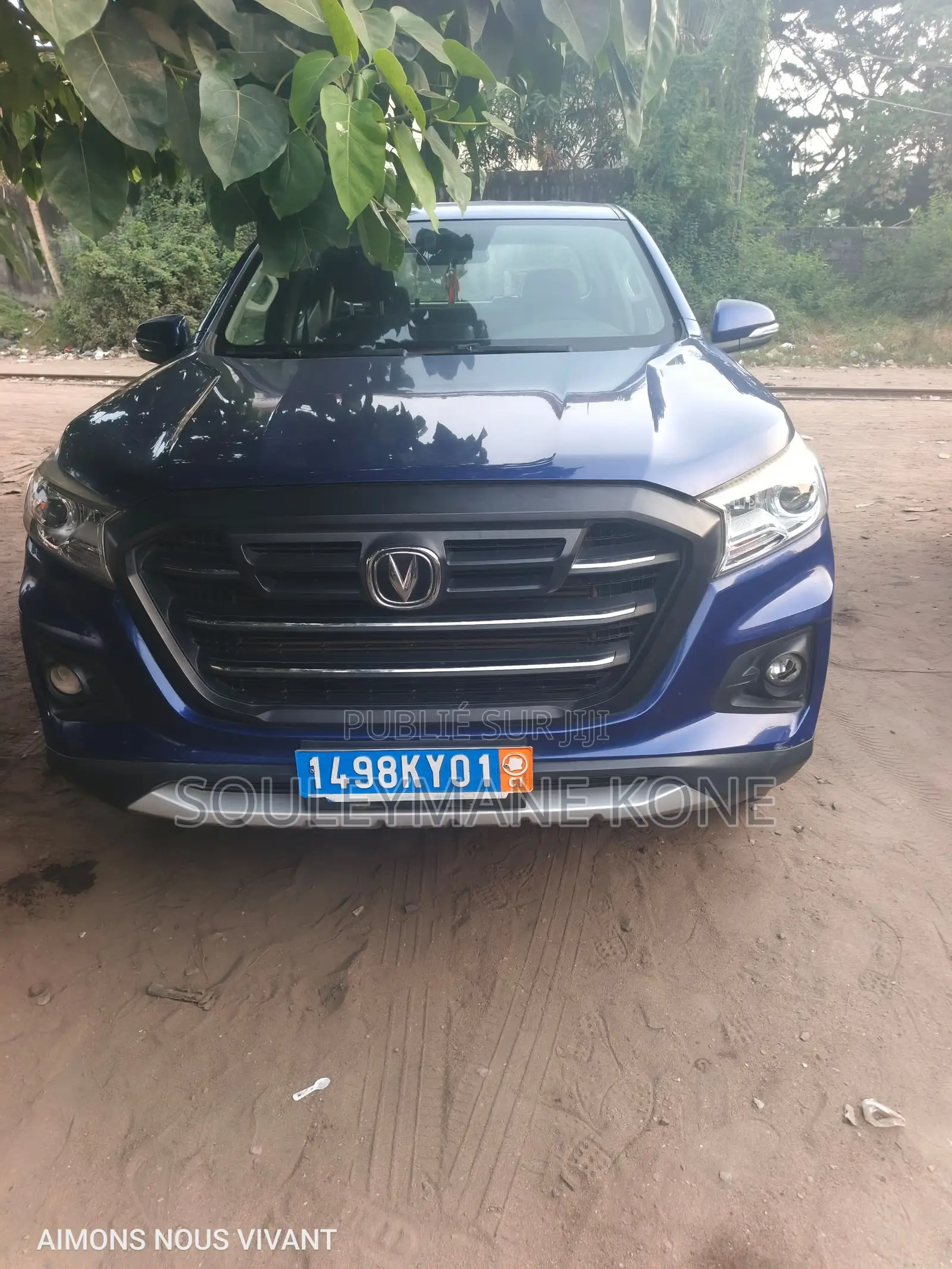 Changan Hunter Plus 2.0 Petrol 4x4 2022 Bleu
