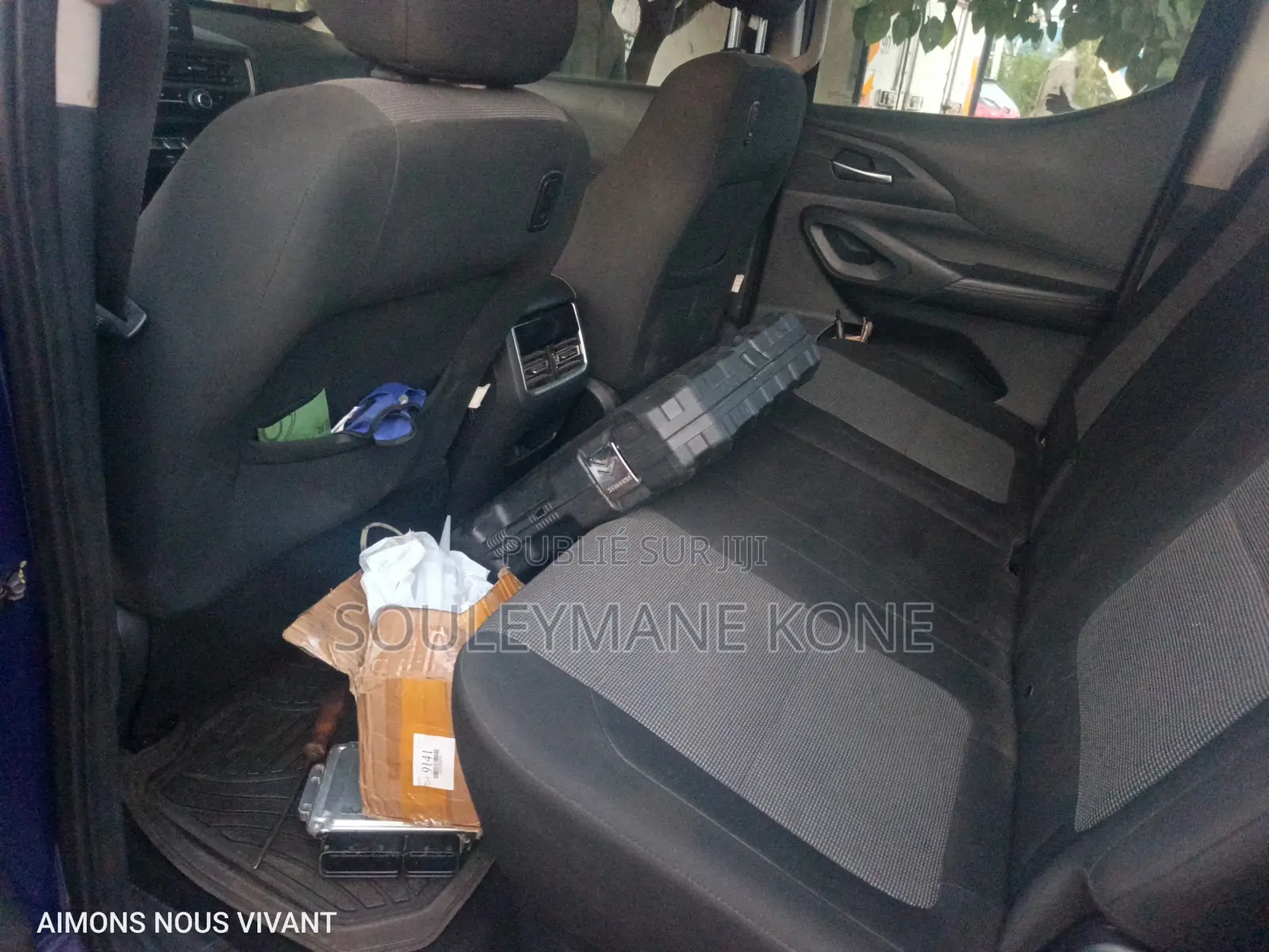 Changan Hunter Plus 2.0 Petrol 4x4 2022 Bleu