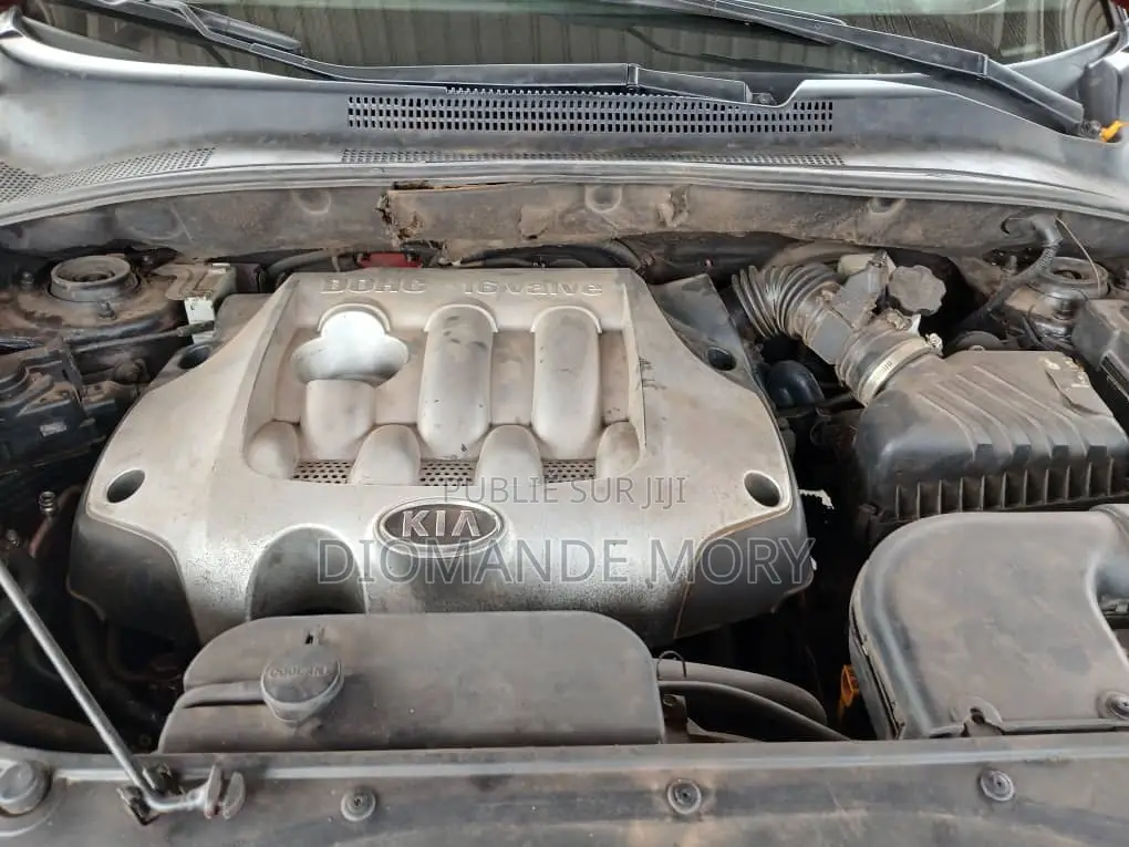 Kia Sportage 2.0 2007 Rouge