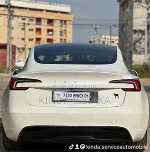Tesla Model 3 Long Range AWD 2024 Blanc cassé