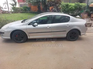 Peugeot 407 2008 Argenté