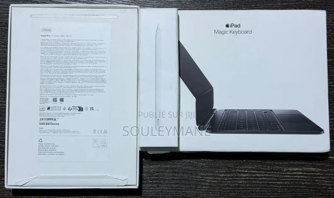 Nouveau Ordinateur portable Apple MacBook Pro 8GB Apple M4 SSD 256GB