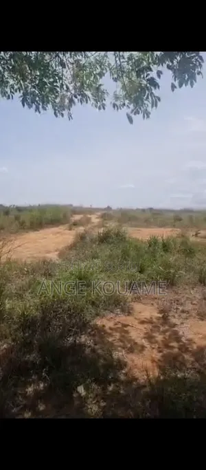 Terrain 8.5 Hectares Avec Acd en Vente À Songon Saph