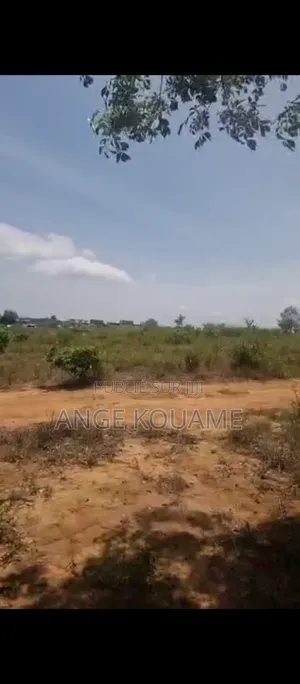 Terrain 8.5 Hectares Avec Acd en Vente À Songon Saph