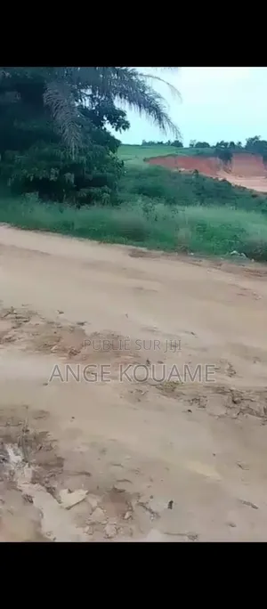 Terrain 55 Hectares Avec Acd en Vente À Songon M'braté