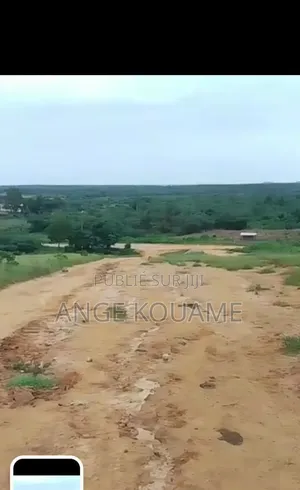 Terrain 55 Hectares Avec Acd en Vente À Songon M'braté