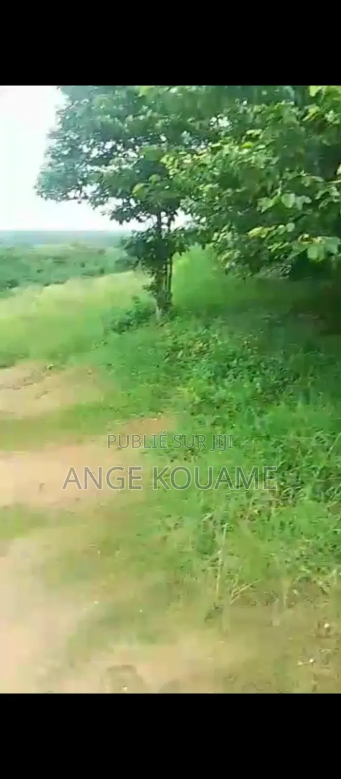 Terrain 55 Hectares Avec Acd en Vente À Songon M'braté