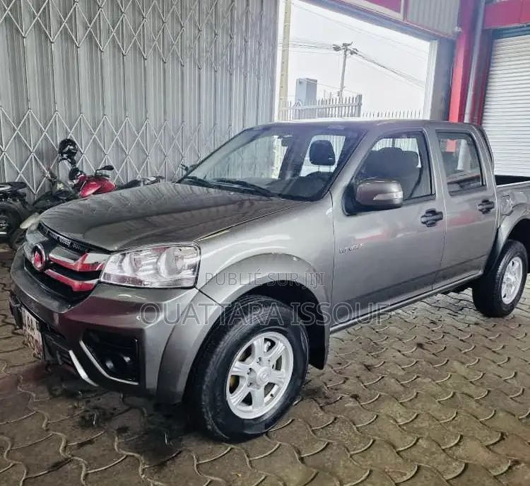 Great Wall King Kong Poer 2025 Gris