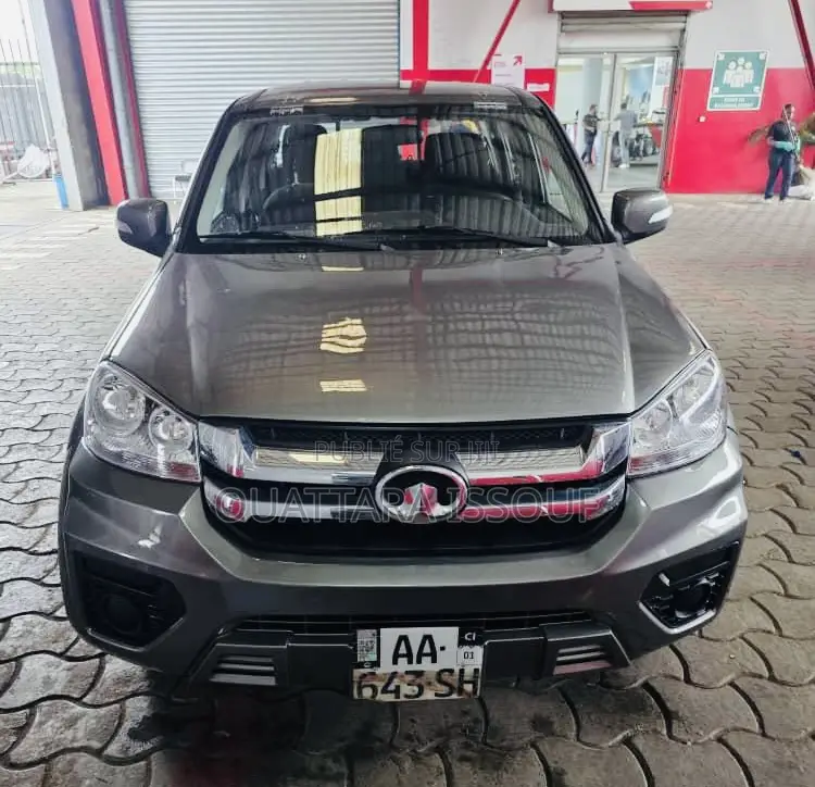 Great Wall King Kong Poer 2025 Gris