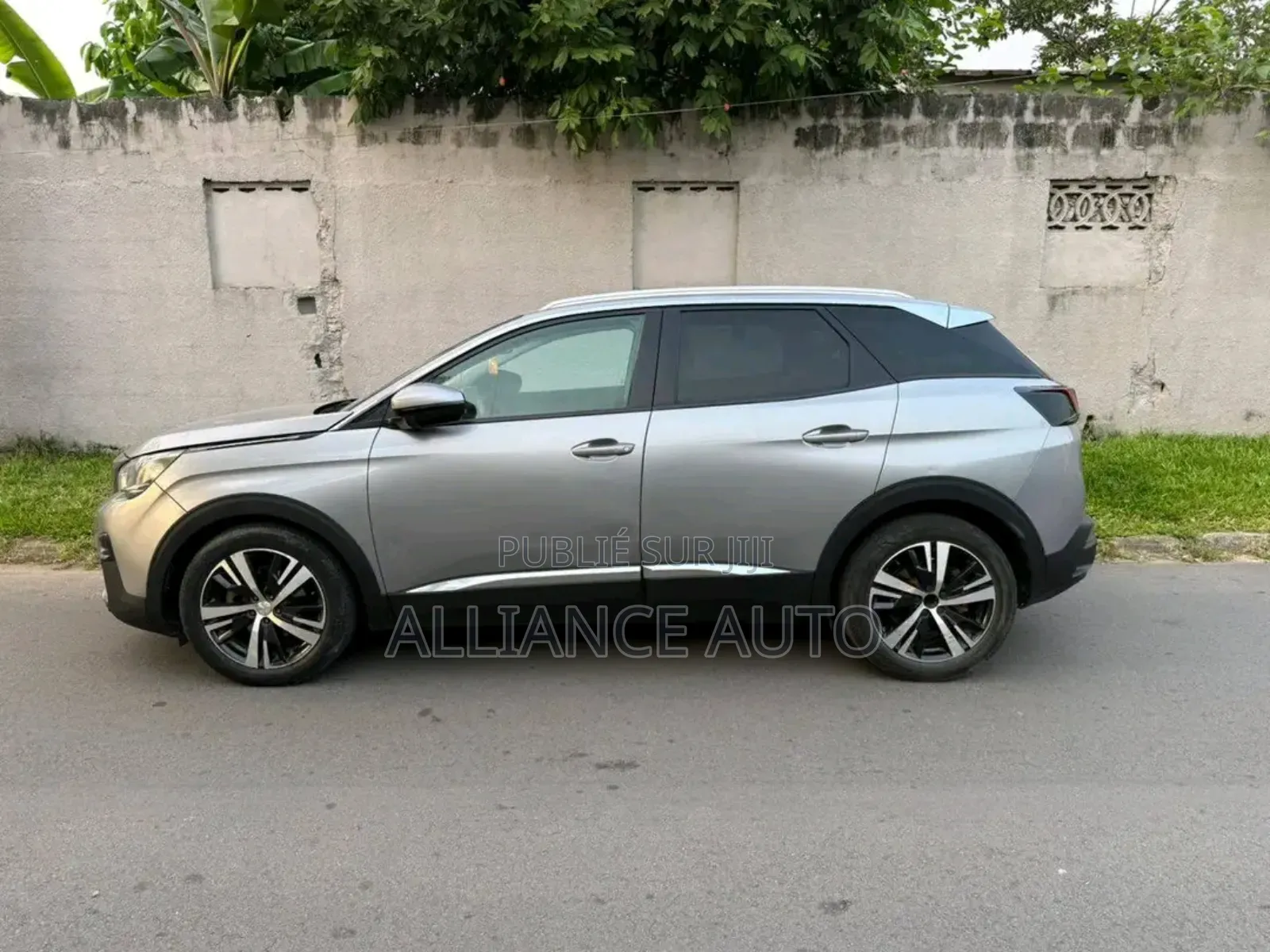 Peugeot 3008 2019 Gris