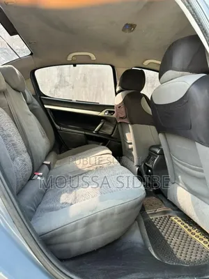 Peugeot 407 1.8 Esplanade 2005 Gris