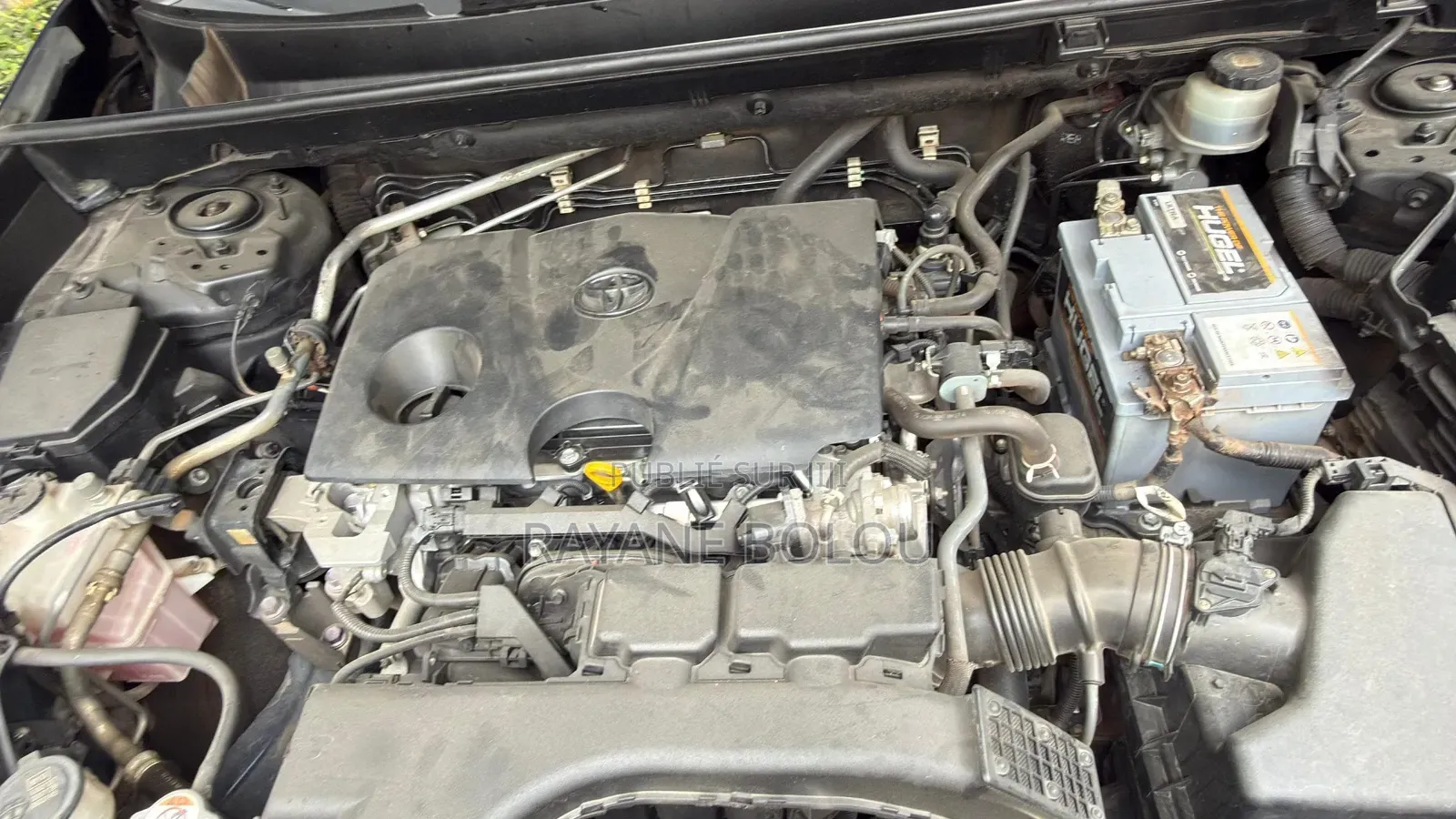 Toyota RAV4 XLE 2022 Bleu