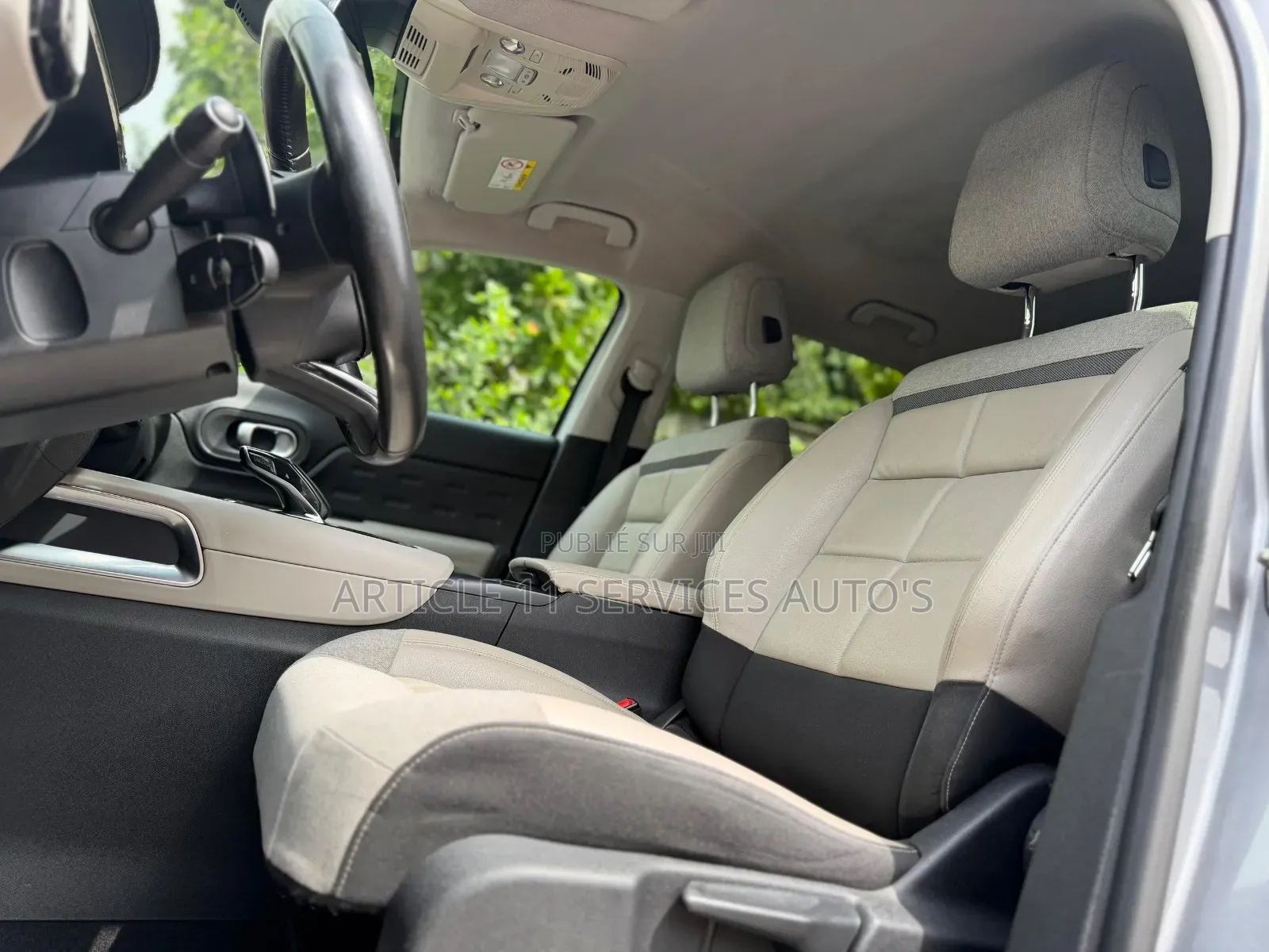 Citroen C5 2020 Gris