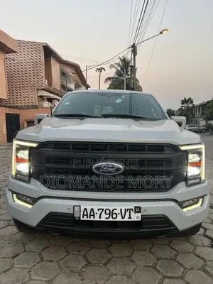 Ford F-150 Limited 2023 Gris