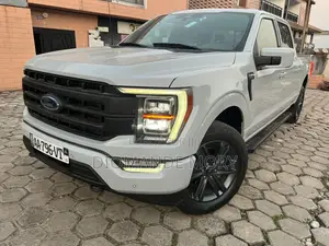 Ford F-150 Limited 2023 Gris
