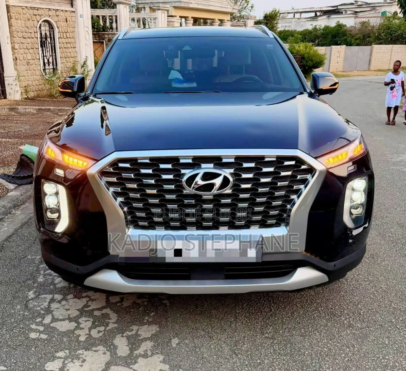 Hyundai Palissade Calligraphy 2022 Bleu