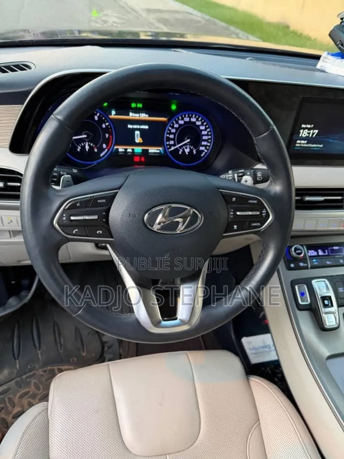 Hyundai Palissade Calligraphy 2022 Bleu