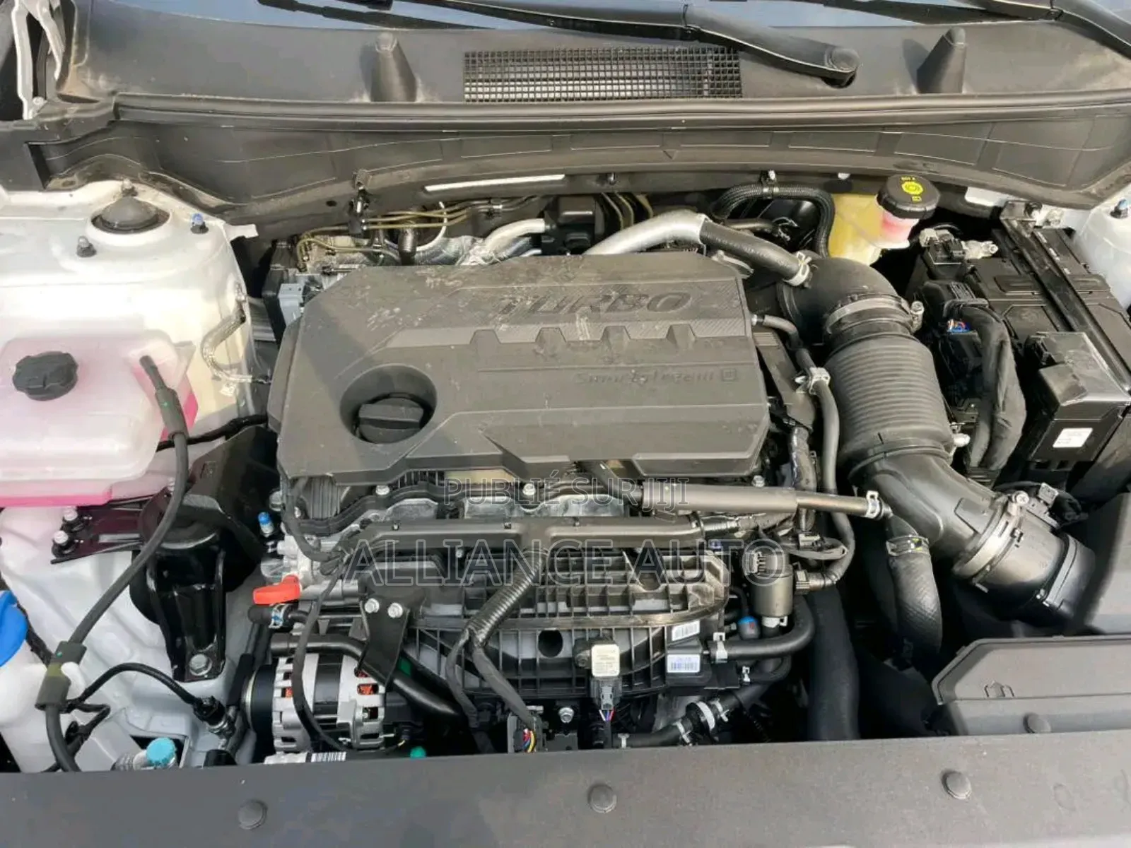 Kia Seltos 2026 Blanc