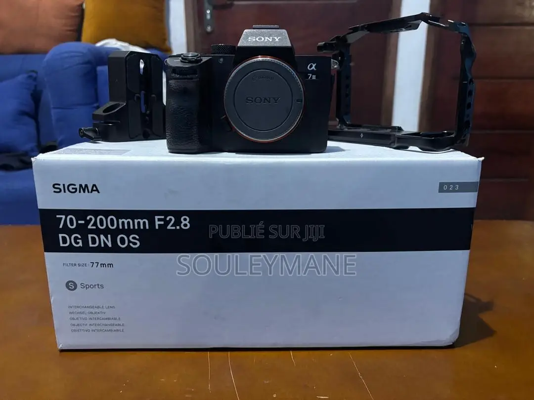 Sony at 7 Iii ( Mark Iii )