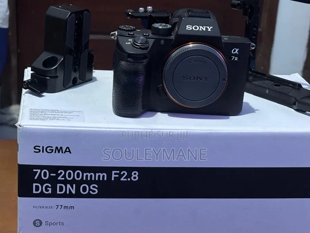 Sony at 7 Iii ( Mark Iii )