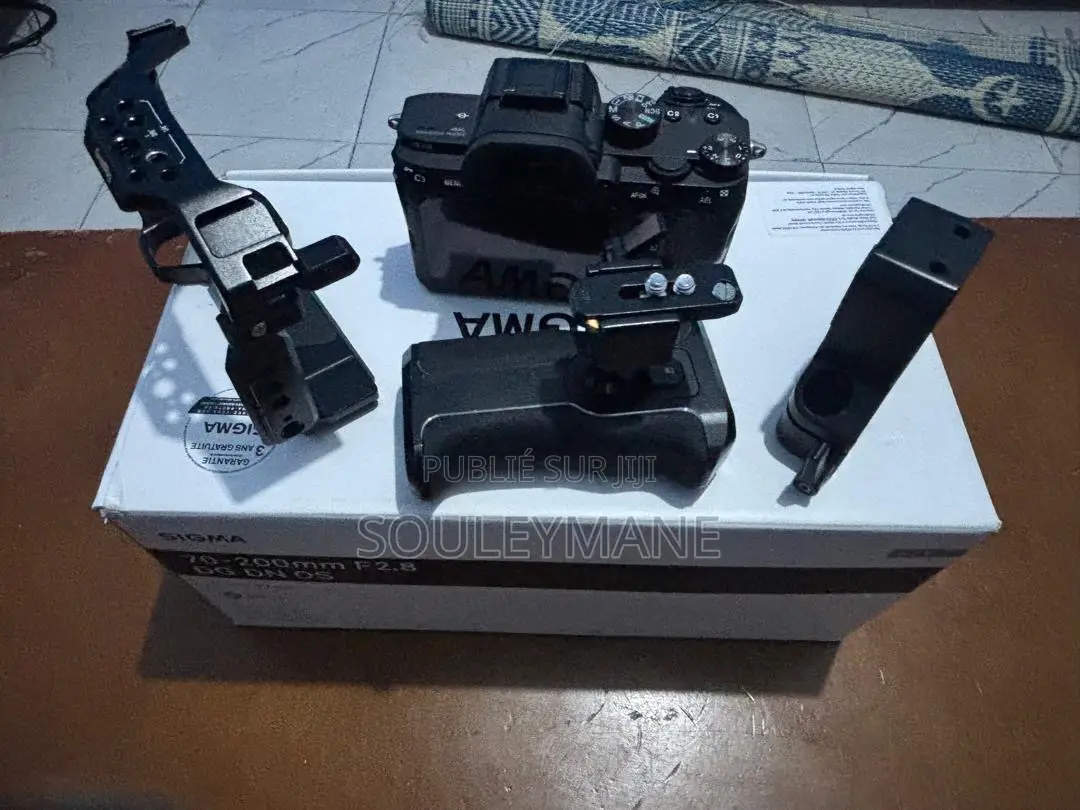 Sony at 7 Iii ( Mark Iii )