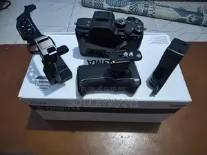 Sony at 7 Iii ( Mark Iii )