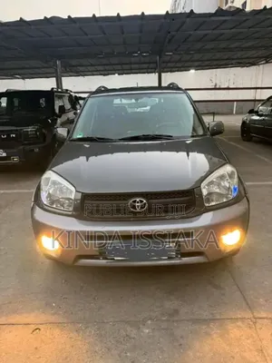 Toyota RAV4 2005 Gris