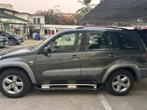 Toyota RAV4 2005 Gris