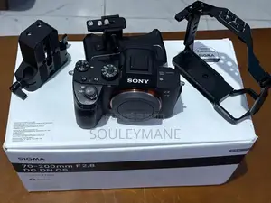 Sony at 7 Iii ( Mark Iii )