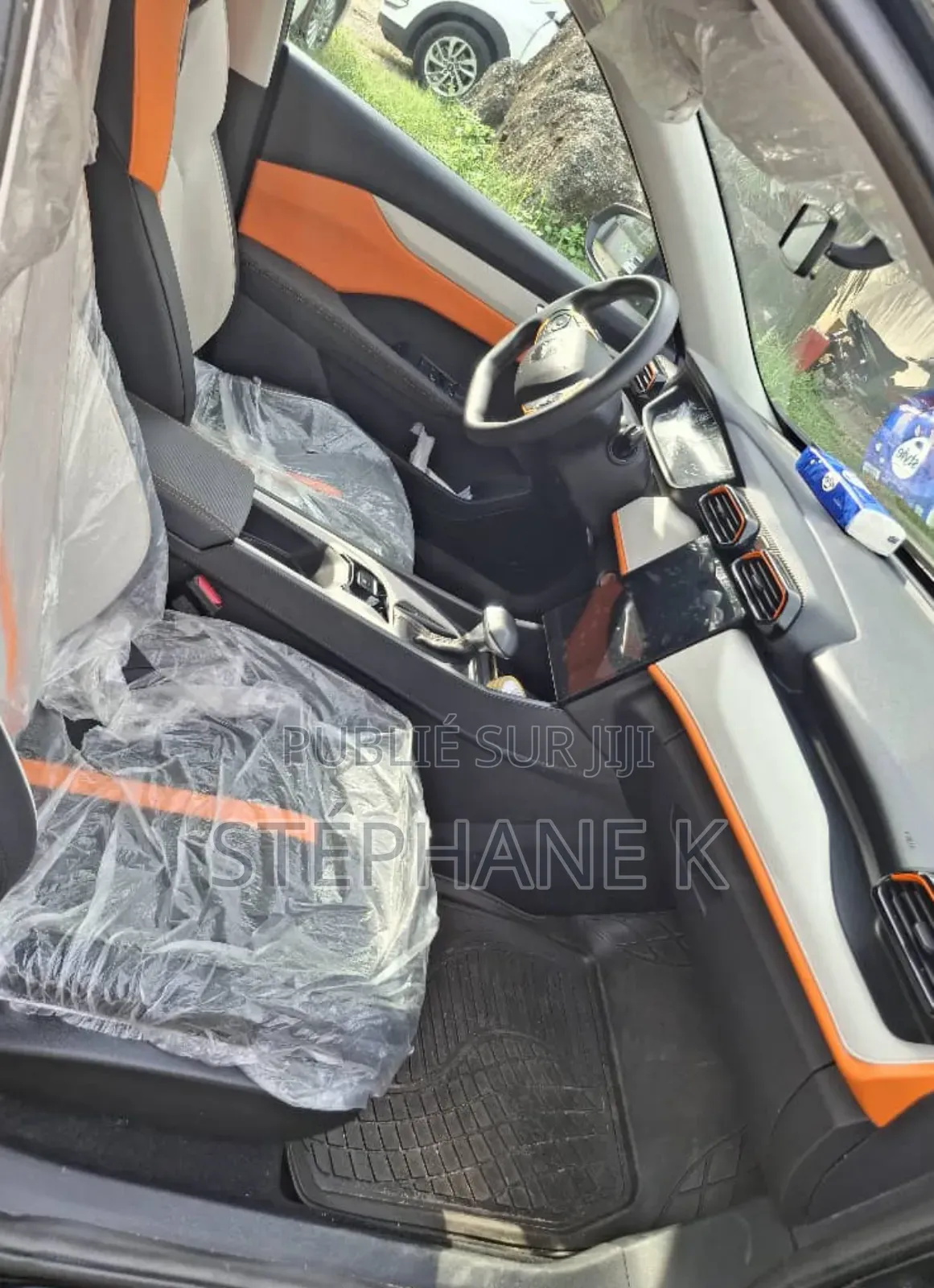 Nouveau Dongfeng EV EX1 2025 Bleu