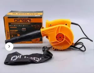 Souffleur D’Air Électrique Dingqi 400W