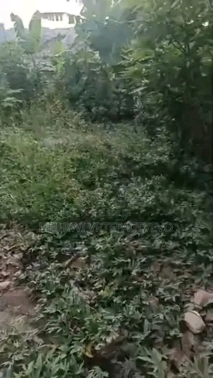 Terrain en Vente À Cocody Angre Saint Viateur