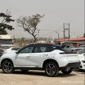 Dongfeng Captain 2025 Blanc