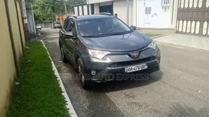 Toyota RAV4 2019 Gris