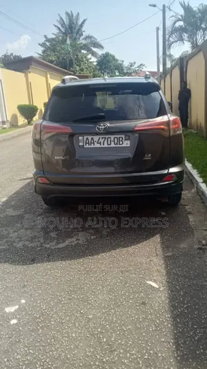 Toyota RAV4 2019 Gris