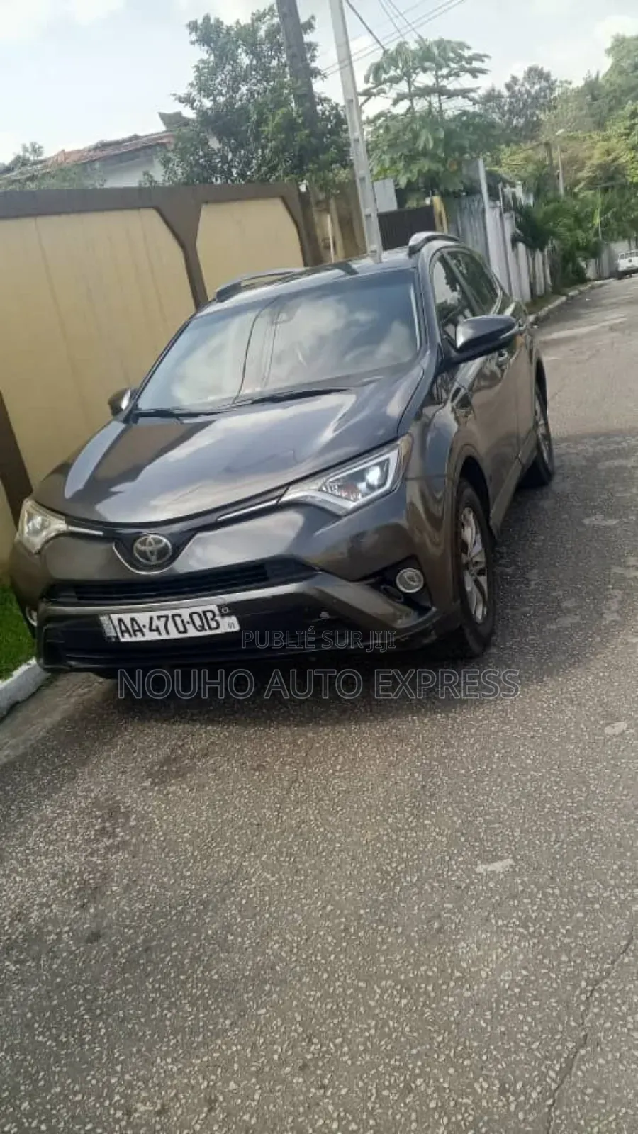 Toyota RAV4 2019 Gris