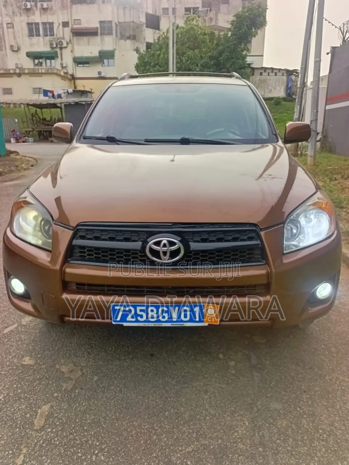 Toyota RAV4 2009 Marron