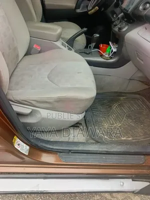 Toyota RAV4 2009 Marron