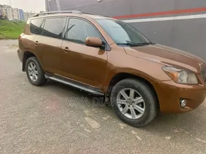Toyota RAV4 2009 Marron