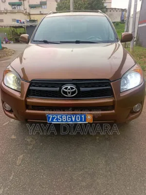 Toyota RAV4 2009 Marron