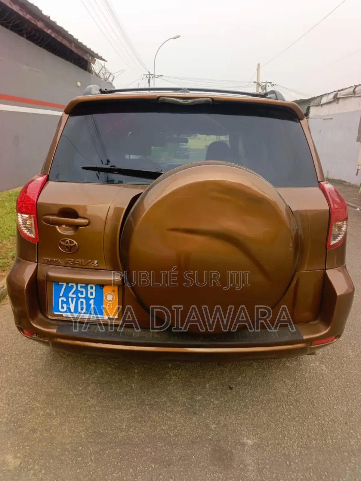 Toyota RAV4 2009 Marron