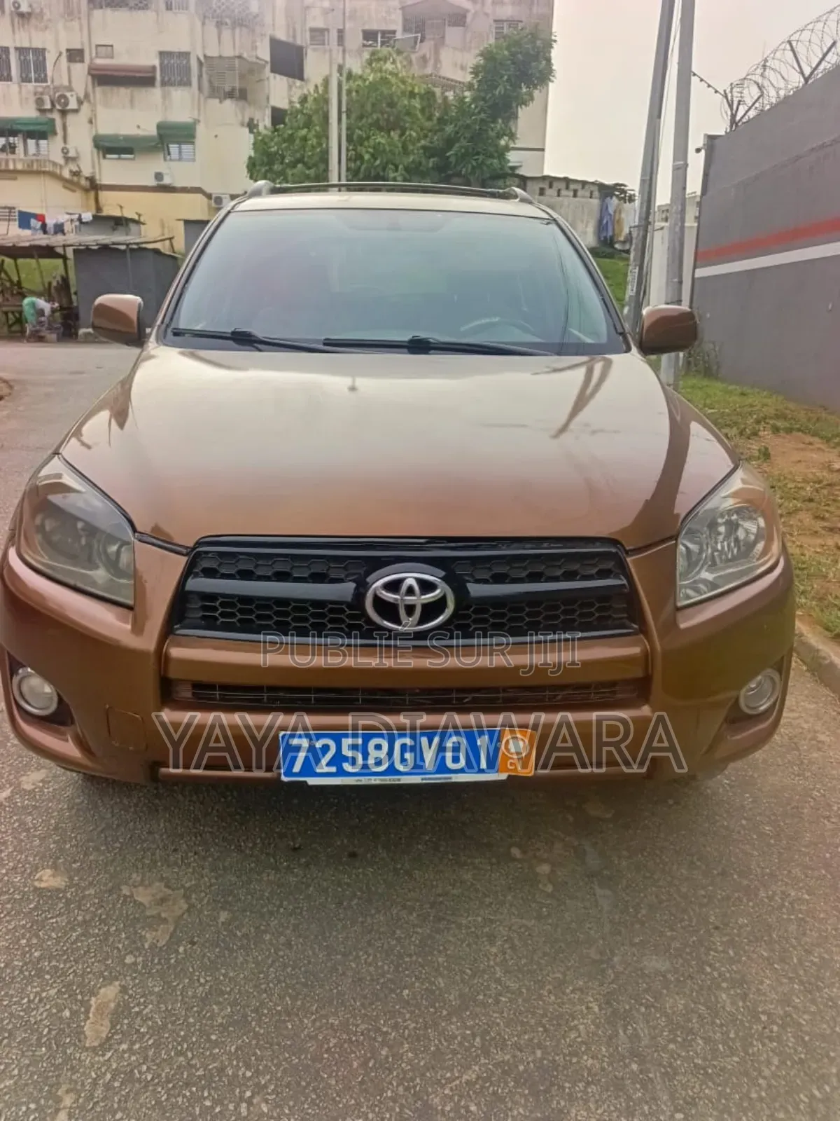 Toyota RAV4 2009 Marron