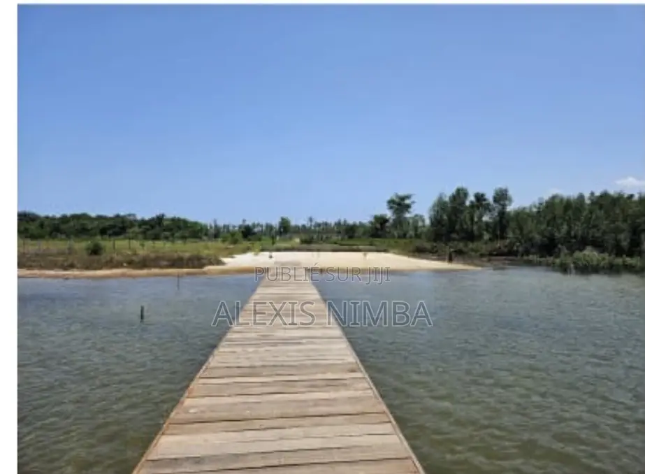 Vente Terrain Baie Des Milliardaires Île Boulay Audoin 3500m2 Doc CPF